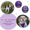 Lukovee Dog Seat Belt for Car, Adjustable Dog Car Harness for Large Medium Small Dogs, Soft Padded & Breathable Mesh Dog Seatbelt with Car Strap and Carabiner (Purple,S)