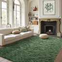 FinRec Green Rugs for Living Room Bedroom, 4x6 Feet Fluffy Fuzzy Shag Rug, Non-Slip Furry Shaggy Area Rug for Nursery Kids Room Dorm Room Home Decor, Indoor Floor Carpet