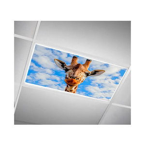 Light Covers for Ceiling Lights -Magnetic Cloud Cover LED Fixture 2ft x 4ft Classroom,Home,Office Decoration Filters Overhead Lighting- Giraffe