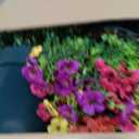 Velener Artificial Flowers for Outdoors- 20 Potted Plant Fake Silk Daisy Bush-UV Resistant Artificial Outdoor Plant for Front Porch, Garden, Yard, Patio Decor(Mixed Colors)