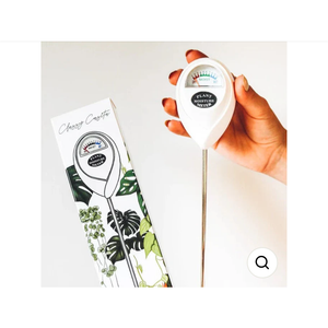 CLASSY CASITA | PLANT MOISTURE METER (WHITE)