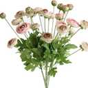 5Pcs Artificial Ranunculus Flower Silk Flowers Persian Buttercup for Home Wedding Decoration Floral Creation Flower Arrangement DIY Project (Pink Green)