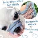 Dog Muzzle for Small Medium Dogs to Prevent Biting for Short Snout Dogs,Maltese,Miniature Schnauzer,Jack Russel Terrier,Soft Breathable Lightweight Mesh,Open Front for Grooming Vet Visits (Blue, S-) (S-Snout (6.1"- 6.5"))