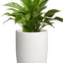 Plant Pot 8 Inch - Ceramic Planter for Indoor Plants Outdoor, Large Plant Pot with Drainage Hole and Saucer, Modern Flower Pot, White