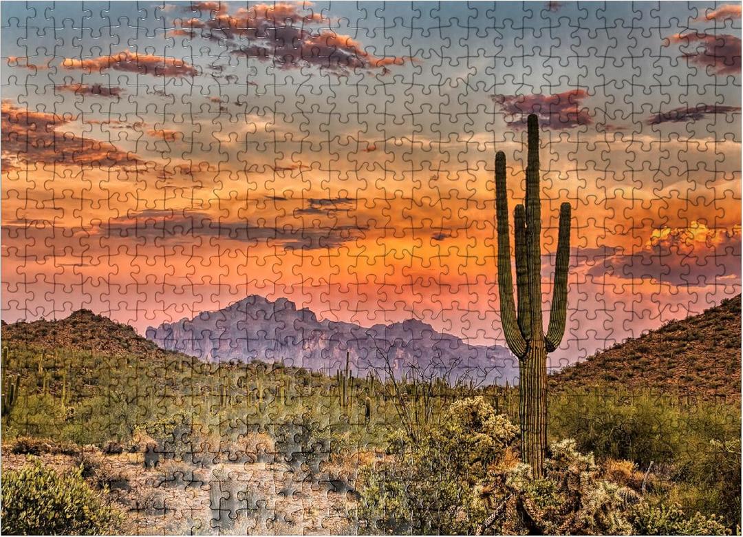 MyPuzzle Sunset in The Sonoran Desert Near Phoenix, Arizona - Premium 500 Piece Jigsaw Puzzle for Adults