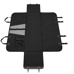 Cover for Car, Black