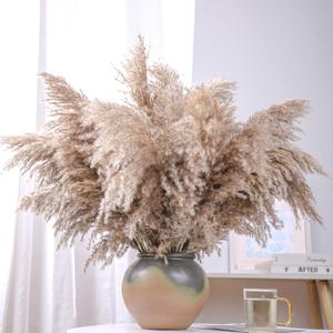 20 Stems 28" inch Large Brown Pampas Grass Decor Tall - Natural Fluffy Pompas Grass Bulk Tall Pampas Grass for Floor Vase - Boho Decor Home Decor Wedding Decor Event DecorGift
