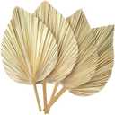 4 Pcs Large Dried Palm Leaves,Natural Boho Dried Palm Leaves Fans with Stem,Tropical Palm Leaves Boho Wedding Decor for Vase Baby Shower Anniversary Home