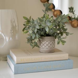 Beautiful Decorative Books - Set of 2 Linen Boxes Enhance Your Coffee Table, Bookshelf or Mantel Decor - Stylish Fake/Faux Books for Modern Home Decoration, Photo Storage and as a Keepsake Box (Blue-beige)
