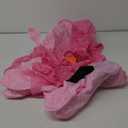 FANFX Cartoon Axolotl Costume Inflatable Costume for Adult and Kids Chrismas Blow Up Cute Unisex Suit Animals Cosplay Party (Pink)