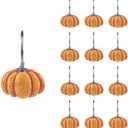Sunlit Fall Pumpkin Decorative Shower Curtain Hooks, Autumn Harvest Festival Shower Curtain Rings, Resin, Orange Farmhouse Bathroom Curtain Hangers Decoration, Set of 12