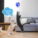 Sratte 6 Pcs Ghost Hunting Cat Ball Activated Cat Toy Motion LED Light Pet Balls Motion Dog Interactive Pet Toys Glowing Mini Running Exercise Supplies for Animals Activity (Clear)