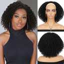 Kinky Curly Half Wig Afro Curly Synthetic Wig With Headband for Black Women DIY Hair Style (Black, Kinky Curly) (12)