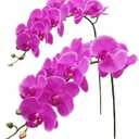 Fnize Artificial Orchid Stems Real Touch Latex Phalaenopsis Branches Faux Cymbidium Flowers 9 Large Petals 38 Inches 2pcs (Rose red)