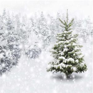Allenjoy 8x8ft Fabric Christmas Eve Winter Snowy Backdrop Party Supplies for Xmas New Year Decorations Children 1st First Birthday Baby Shower Photo Booth Shoot Studio Portrait Prop Photoshoot Favors