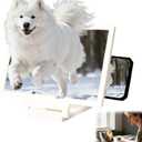 3D HD Big Screen Phone Magnifier, New Cell Phone Screen Magnifier, Foldable Design Screen Version for Movies and Videos, Lightweight Phones Magnifying Screen, Compatible with All Phones (White)