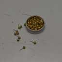 Tupalizy 100PCS 1/4 Inch Small Round Head Map Tacks Pins for Home Office Bulletin Cork Board Use and DIY Craft Project 