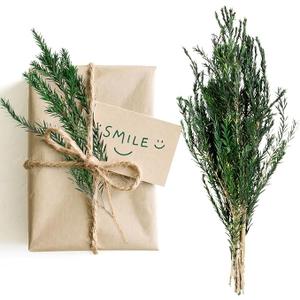 Dried Greenery Stem Decor