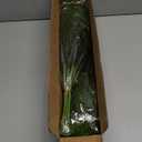 16 Pcs Real Touch Norfolk Pine Branch -18" Artificial Christmas Green Plants Branches Faux Greenery Stem Fake Cedar Pine Picks for Vase DIY Crafts Garland Wreath Xmas Indoor Outdoor Home Decor