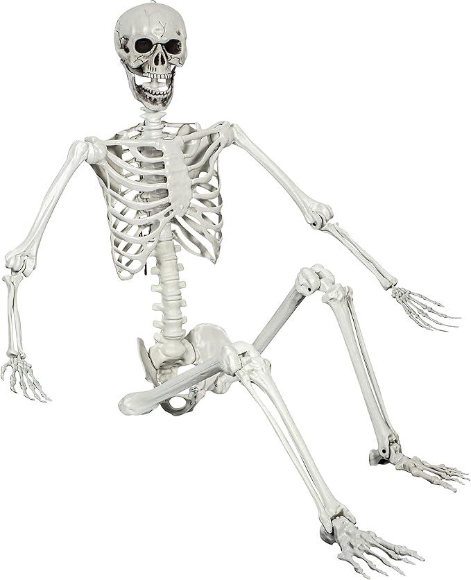 5.4ft Halloween Posable Skeleton Realistic Life Size Human Skeleton Bones with Movable Joints for Halloween Haunted House Indoor Outdoor Décor (1Piece) 5.4ft Halloween Posable Skeleton Realistic Life Size Human Skeleton Bones with Movable Joints for Halloween Haunted House Indoor Outdoor Décor (1Piece)