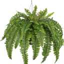 Hollyone 33" Artificial Boston Fern Hanging Basket Large 39 Leaves Fake Ferns in Rattan Pot Greenery Plants for Outdoors & Indoor Faux Fern Bush Basket Plant Patio Garden Home Decor Green
