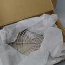 Turkey Fryer Basket for Char-Broil Big Easy Oil-Less, Standard Basket Replacement Part 6776791W06 for CharBroil Big Easy Oil-Less Turkey Fryer Model #17102065 24102165 14101480