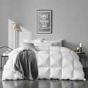 APSMILE Queen Size Feathers Down Comforter - Ultra Soft All Seasons 100% Organic Cotton Duvet Insert Medium Warm Quilted Bed Comforter with Corner Tabs (90x90, Ivory White)