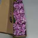 ZYTUYO 5 Pcs Dark Purple Silk Hydrangea Artificial Flowers - Boho Dried Touch 20'' Faux Hydrangeas for Fall Home Decor, Kitchen, Living Room, Porch Wreath, Xmas, Wedding Flower Arrangement