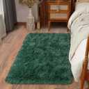 Soft Runner Rugs for Bedroom Hallways New Upgraded Non-Slip Bottom, 2x3 Green Fluffy Shag Throw Area Rug for Bedside Dorm, Long Shaggy Furry Carpet for Nursery Living Room