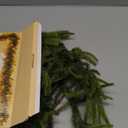 6 Ft Norfolk Pine Garland, Artificial Dense Christmas Garland Ornaments, Real Touch Greenery Garland for Fireplace, Stairs, Table, Mantle, Wall, Indoor, Outdoor Christmas Decorations