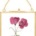 REDHUGO Glass Pressed Flower Frames,Vintage Hanging Picture Frames with Chain,Handmade Brass Floating Picture Frame,Plant Specimen Wall Ornament Display Artwork DIY Family Photo,Square,Gold,4x4 Inches