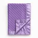 Pro Goleem Baby Soft Minky Dot Blanket with Silky Satin Backing Baby Gifts for Boys and Girls (Purple, 30 x 40)
