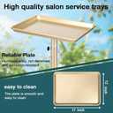 Salon Tray, Champagne Gold Salon Rolling Tray, Salon Service Tray Cart with Adjustable Height, Salon Tray on Wheels, Ideal Use As Tattoo Tray&Deantal Tray, No-Rusting