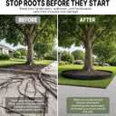 Tree Root Barrier 30in x 33ft x 60mil Tree Root Barrier Heavy Duty Bamboo Barrier Protects Sidewalks Roads and Driveways