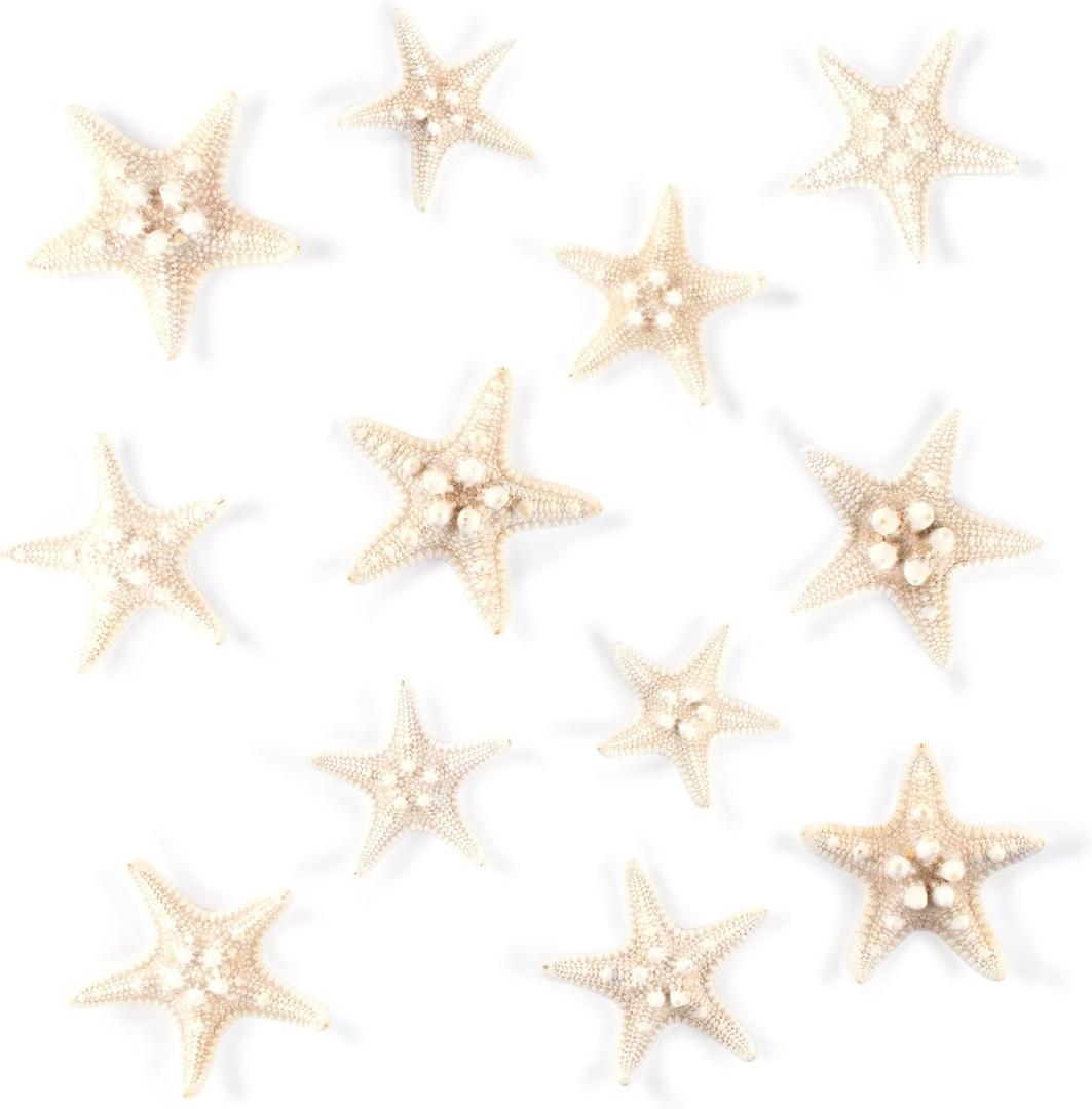Super Z Outlet Starfish Natural Knobby Mini Beach Sea Stars for Wedding Seashell Crafts (12 Piece)