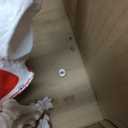 2025 New Human Skeleton Model, Medical Anatomical Life Size Skeleton Replica with Spinal Nerves, Muscle Insertion and Origin Points,Includes Rolling Stand,for Doctors, Students