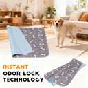 2PC Puppy Pee Pads with Pheromones, Washable Puppy Training Pads for Dogs Reusable Puppy Potty Pads for Dogs and Cats(with Pet Hair Removal Gloves)