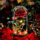 Rose in A Glass Dome Beauty and The Beast Enchanted Red Silk Rose LED Light Romantic Gift Movie Theme Party Mother's Day Valentine's Day Wedding Decoration