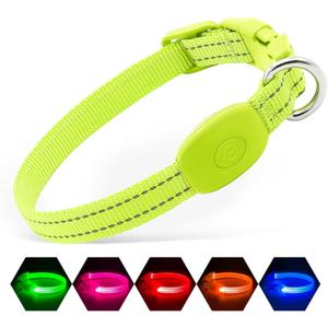 illumifun LED Dog Collar for Puppy, USB Rechargeable Light Up Collar, Lightweight Nylon Glowing Dog Collar for Your Small Pups& Cats (Green, X-Small)