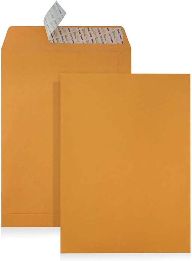 WINPAQ 13 X 18 Brown Kraft Jumbo Envelopes with 13 x 18 (324mm x 457mm) 28lb, Peel & Seal - 50 Count