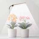Juhefa Grow Light for Indoor Plants Growing, 6000K Full Spectrum Gooseneck Plant Lamp for Seedings Succulents Small Plants, 5 Dimming & 4/8/12/18H Timer (1 Pack) (White)