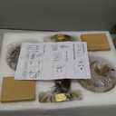 Vintage Battery Operated Wall Sconces Sets Of Two,Indoor not Hardwired Amber Tulip Glass Lampshade Fixtures,Rechargeable Wireless RGB Wall Lights with Dimmable Remote Control,for Bedroom Living Room