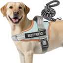 AUROTH Dog Harness and Leash Set, Soft Padded Service Dog Vest with 5.25FT Dog Leash, No Choke, Easy On Pet Vest, Adjustable Reflective No Pull Dog Harness for Large Dogs, Easy Walking and Training L