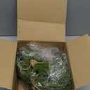 Dingion 6 Pcs Mini Christmas Wreath 8.6 Inch Small Norfolk Wreaths for Kitchen Cabinets Vintage Mini Wreath with Wood Bead Bell Rustic for Xmas Front Door Window Chair Farmhouse Decor