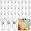 30 Pack Balloon Arch Clips Plastic Transparent Backdrop Spring Clamps 2 Inch Clear Clips for Balloon Arch Kit Birthday Decoration Crafts Woodworking Photography Studios