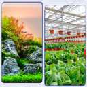 uxcell PVC Tubing, 18mm ID x 23mm OD - 10 Feet Long Clear Vinyl Water Pipe, Lightweight Plastic Flexible Water Pipe for Aquaponics, Air Hose, Irrigation