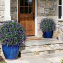 HyeFlora 26'' Artificial Topiary Boxwood Ball Trees with Lavender 2 Pack Fake Plants for Outdoor Indoor Artificial Shrubs with Ground Spike UV Resistant Fake Bushes for Front Porch Garden (Purple)