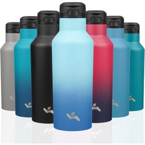 Insulated Water Bottle with Straw,17 OZ Double Wall Vacuum Stainless Steel Water Flask with 2 Lids,Sky