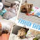 2-Pack Pet Clothes Puppy Cute Pajamas Dogs Cotton Rompers Cats Jumpsuits Cosy Apparel Dog Shirt Small Canine Costumes, Duck & Fish XL