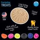 Starmark Everlasting Treat For Dogs, Liver, Medium (EXP 04/07/29)